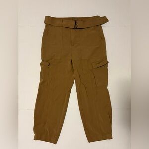 Banana Republic Women’s Brown Tapered Cargo Pants 10